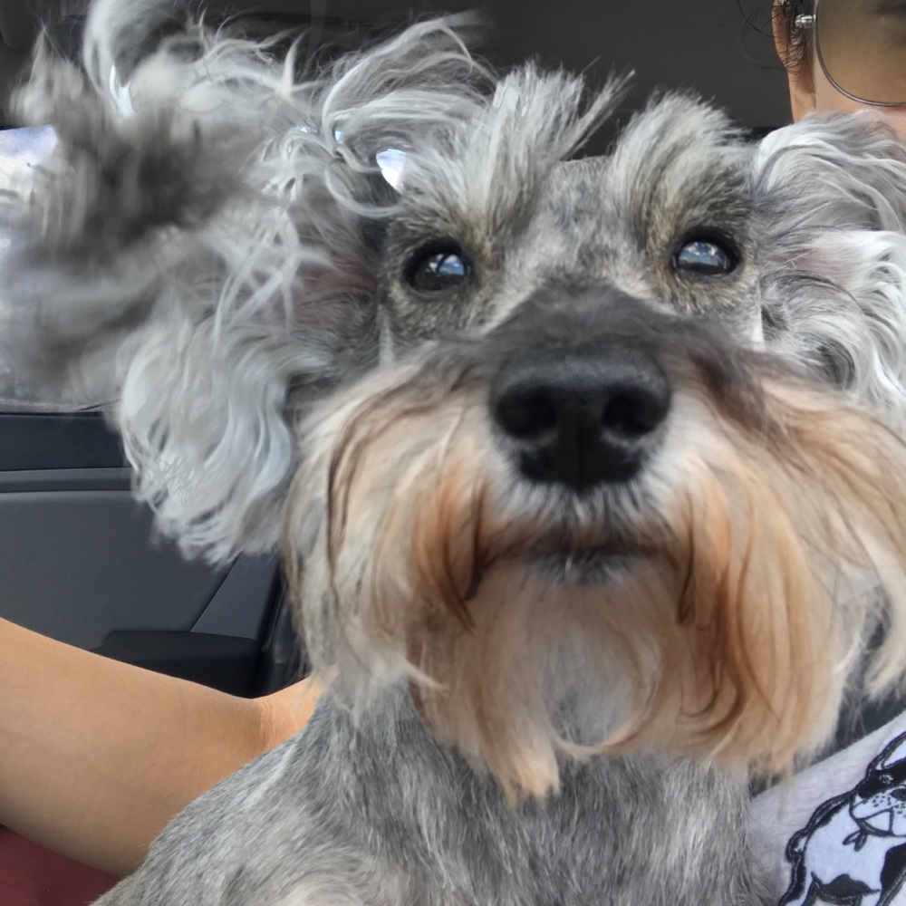 Meet your Posher, Judith